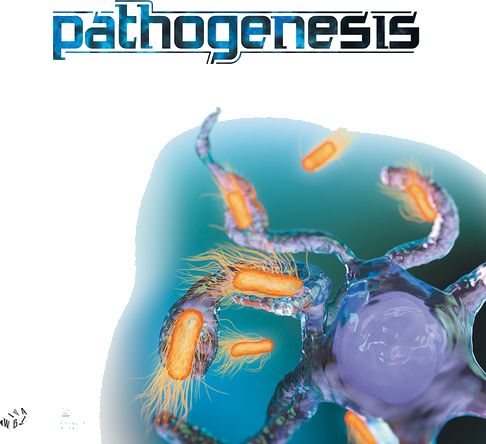 Патогенез