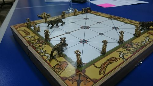 Тигры и козы (багха чал)