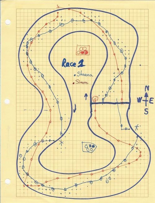 Гоночная трасса