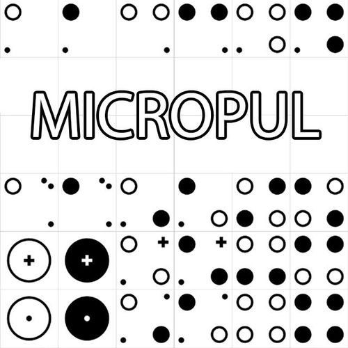 Обложка игры Micropul