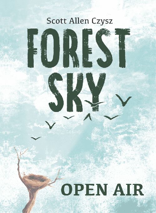 Обложка игры Forest Sky: Open Air