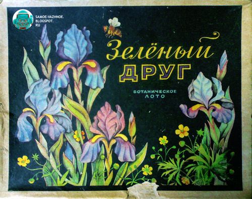 Зелёный друг
